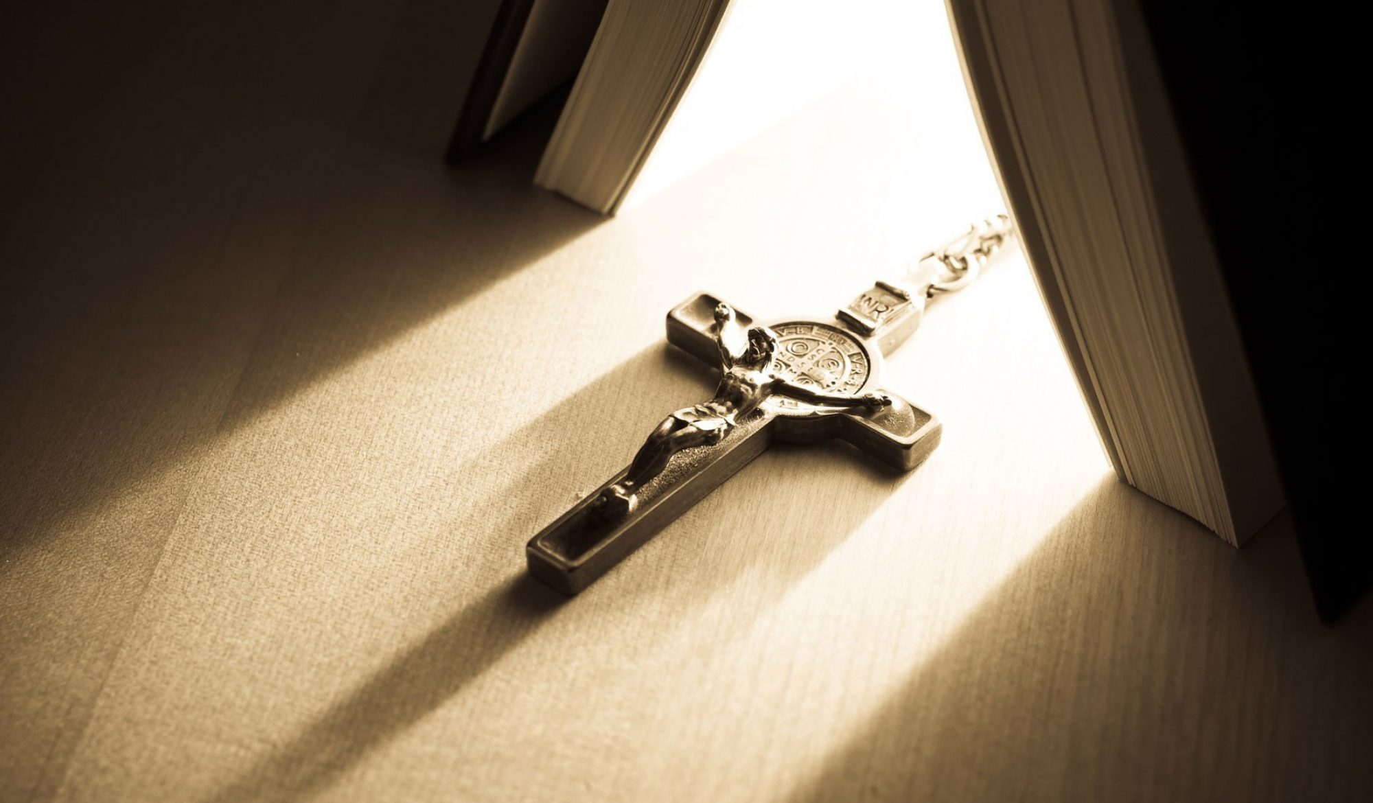 .: Formación Online LAM :.